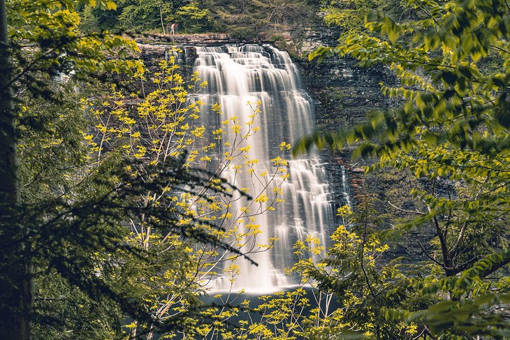 Salmon River Falls